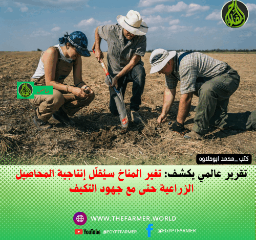 تغير المناخ سيُقلّل إنتاجية المحاصيل