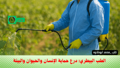 مكافحة الآفات والحشرات