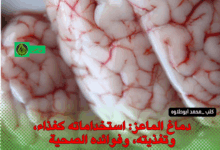 دماغ الماعز: استخداماته كغذاء، وتغذيته، وفوائده الصحية