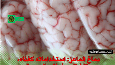 دماغ الماعز: استخداماته كغذاء، وتغذيته، وفوائده الصحية