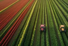 الزراعة العالمية